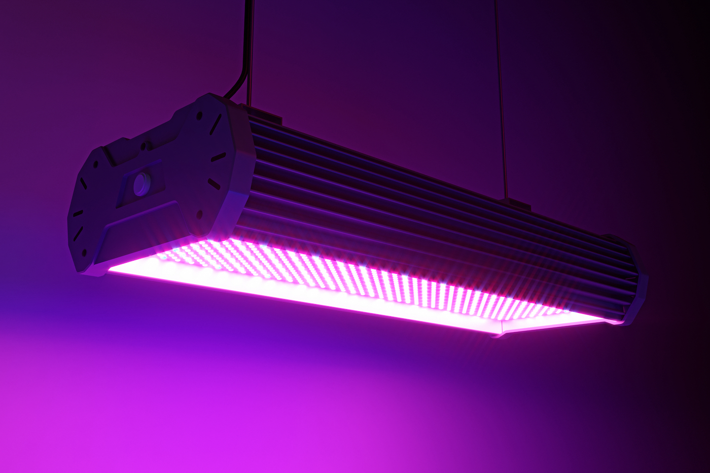 vitalitet rabat Miljøvenlig 8 LED Manufacturers to Illuminate Your New or Existing Grow