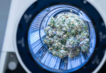 Scalable Machine Trimming that Mimics the Human Hand M108s-trimming 1400x800