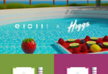 E1011 Labs Announces Higgs as Next Member of P3 e1011 Labs x Higgs