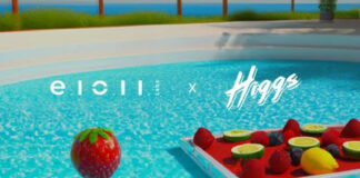 E1011 Labs Announces Higgs as Next Member of P3 e1011 Labs x Higgs