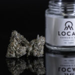 Calyx Peak, Inc., Brings Local Cannabis Company to Massachusetts Local Cannabis Co.