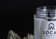 Calyx Peak, Inc., Brings Local Cannabis Company to Massachusetts Local Cannabis Co.