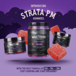 Wild Theory Introduces Strata PM THC + CBD + CBN Gummies for Deeper, More Restful Sleep Wild Theory CBD Co. releases new CBD + CBN + THC gummies for powerful sleep support.
