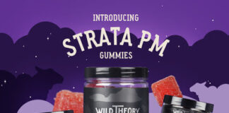 Wild Theory Introduces Strata PM THC + CBD + CBN Gummies for Deeper, More Restful Sleep Wild Theory CBD Co. releases new CBD + CBN + THC gummies for powerful sleep support.