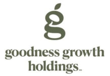 Goodness Growth Holdings Announces Departure of Chief Operating Officer Goodness Growth Holdings (CSE: GDNS; OTCQX: GDNSF) is the new parent company of Vireo Health and Green Goods.