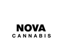 Grant Sanderson to Replace Marcie Kiziak at Nova Cannabis Nova Cannabis Logo