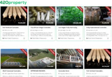 420Property.com Announces Lender420 as New Exclusive Lender for Platform 420Property screenshot