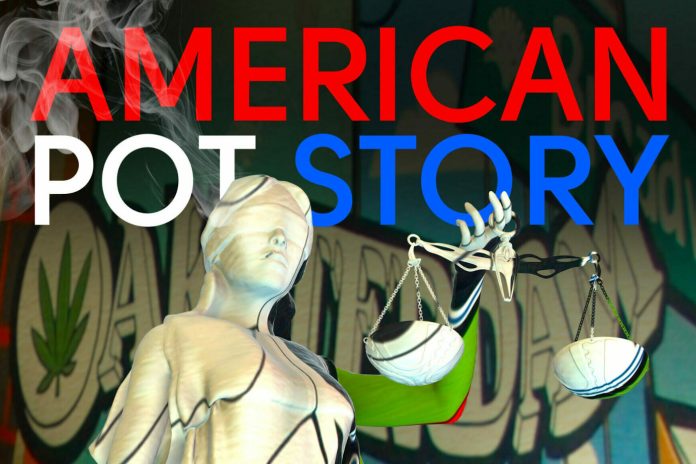 American Pot Story
