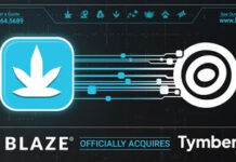 BLAZE Cannabis Retail Software Announces Acquisition of Tymber E-commerce Platform Blaze-Tymber-logos