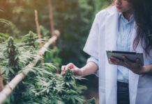 6 THC Testers for Professional Cultivators and Homegrowers THC tester for cannabis potency, terpenes, cannabinoids, and water