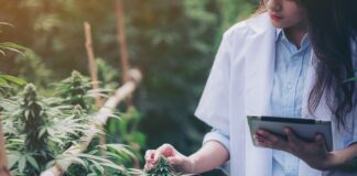 6 THC Testers for Professional Cultivators and Homegrowers THC tester for cannabis potency, terpenes, cannabinoids, and water