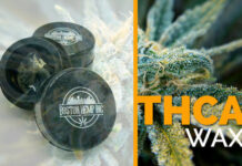 Boston Hemp Inc. is proud to announce the release of our newest product: THCA wax boston hemp t h c a wax product image