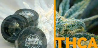 Boston Hemp Inc. is proud to announce the release of our newest product: THCA wax boston hemp t h c a wax product image