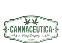 CANNACEUTICA Launches Cannabis Capsule to Treat Chronic Pain in Massachusetts white background with cannaceutica in dark green