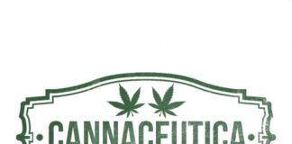 CANNACEUTICA Launches Cannabis Capsule to Treat Chronic Pain in Massachusetts white background with cannaceutica in dark green
