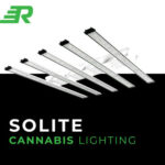 RapidGrow LED Debuts SOLITE, the Newest High-Efficiency LED Light and Software System for Cannabis Growers and Operators product image of cannabis grow lights with text that read solite cannabis lighting