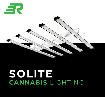 product image of cannabis grow lights with text that read solite cannabis lighting
