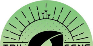 Trilogene Seeds Accelerates Cannabis Breeding Using Target Sequencing trilogene logo