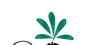 JessiLove Launches First Cannabis Financial Assistance Program in Maryland JessiLove Logo