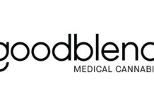 Black CannaBusiness and Parallel Launch 2023 National Education Series in Pittsburgh goodblend