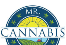 Full Service Cannabis Law Firm Mr. Cannabis Law Innovates with Focus on Mental Health and Team Culture Mr. Cannabis Law