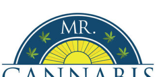 Full Service Cannabis Law Firm Mr. Cannabis Law Innovates with Focus on Mental Health and Team Culture Mr. Cannabis Law