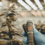 22RED PARTNERS WITH LONESTAR SELECT FOR CULTIVATION IN ARIZONA 22Red GrowAZ-8