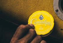 Cannadips Europe joins forces with Haypp Group to launch Terpene in-mouth pouches Cannadips