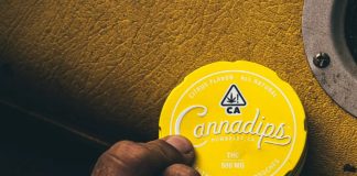 Cannadips Europe joins forces with Haypp Group to launch Terpene in-mouth pouches Cannadips