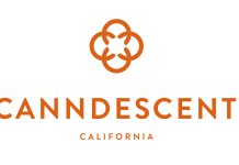 Canndescent Canndescent logo