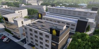 Chubby Gorilla: Protecting More than Just the Product Inside Chubby-Gorilla-Hangzhou