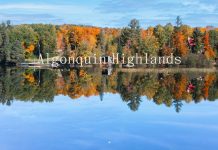 Anthropologist Wade Davis to Join Dimensions Algonquin Highlands for the opening of ASCEND + Retreat Dimensions ASCEND Plus Retreat