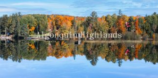 Anthropologist Wade Davis to Join Dimensions Algonquin Highlands for the opening of ASCEND + Retreat Dimensions ASCEND Plus Retreat