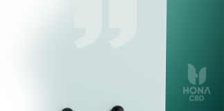 HONA CBD Strikes a Two Year, 7-Figure Deal To Become the Official CBD Sponsor of MILLIONS.co WatchParties Hona CBD oils