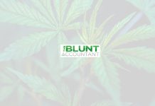 The Blunt Accountant Launches CannAccounting in a Box The Blunt Accountant