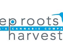 Deep Roots Harvest Launches Firebird Brand to Elevate the Nevada Pre-roll Experience