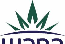 Wana Brands Launches New CBG/CBD/THC Gummies, Embracing Cannabis Industry’s Buzziest New Molecule Untitled-1-3