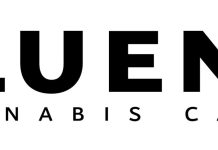 Legendary Breeder Origins TK Selects and Fluent Form Licensing Agreement, Bringing Premium Genetics to the Florida Medical Cannabis Market image1