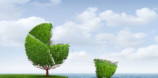 Regulations Are Out of Step with Economic Reality Investing in foreign markets and business diversification as a business concept for international growth potential as a tree shaped as a financial pie chart with 3D illustration elements.