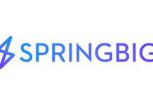 springbig introduces first AI feature: Brands Marketplace springbig new logo 2023 v2