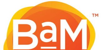 Body and Mind Appoints Josh Rosen to Board of Directors Body and Mind Logo (CNW Group/Body and Mind Inc.)