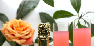 House of LDLR Releases New Refreshing & Seductive Sparkling Infused Cannabis ‘Cannpagne’ Beverage Just in Time for A Love-Filled February House of LDLR