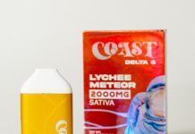 Coast Launches Cannabis Vapes with Intergalactic Flavors That are Out of this World unnamed-3-4