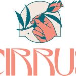 WEEDTUBE APPOINTS NEW CEO TO GUIDE CONTINUED GROWTH AND SUCCEESS unnamed-8-2