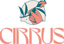 WEEDTUBE APPOINTS NEW CEO TO GUIDE CONTINUED GROWTH AND SUCCEESS unnamed-8-2