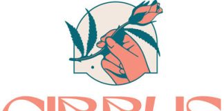 WEEDTUBE APPOINTS NEW CEO TO GUIDE CONTINUED GROWTH AND SUCCEESS unnamed-8-2