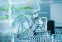 Protonify Providing Researchers with Complimentary Access to its High-Purity THC and THCa unnamed-8