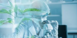 Protonify Providing Researchers with Complimentary Access to its High-Purity THC and THCa unnamed-8