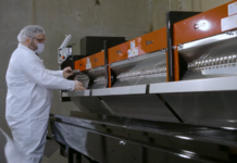 5 Bucking Machines to Boost Efficiency CenturionPro-XL-MegaBucker-Promo-Video-with-Key-Points-Industrial-Hemp-Cannabis-Solutions-0-24-screenshot