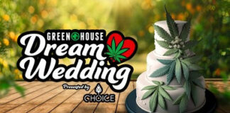 GREENHOUSE OF WALLED LAKE PARTNERING WITH CHOICE LABS OF JACKSON TO GIVE AWAY A COMPLETE WEDDING VALUED AT $30,000 Greenhouse-Dream-Wedding